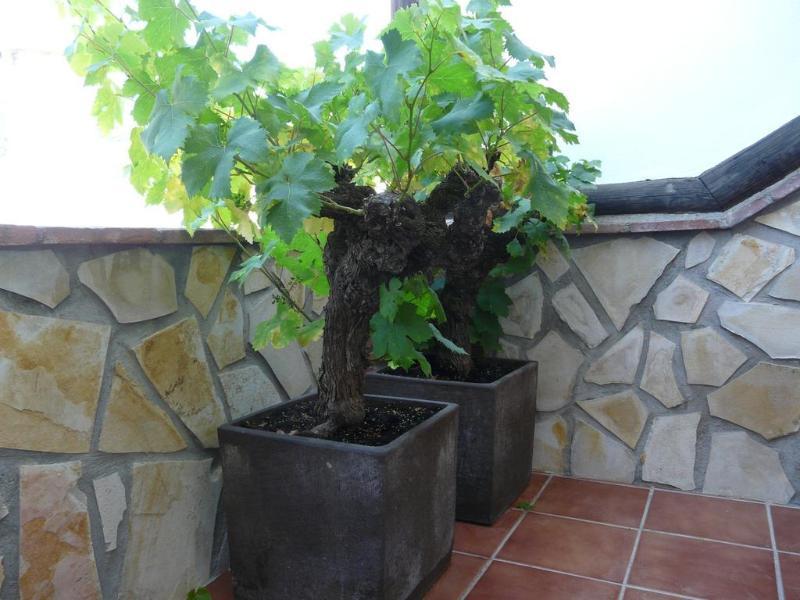Hostal Palomares Salobreña Esterno foto